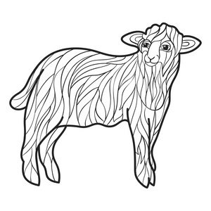 矢量单色手绘制的插图的羊