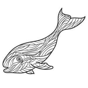 矢量单色手绘制的插图的鲸鱼