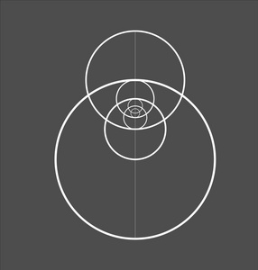 圆圈的黄金比例.未来设计.标志.矢量图标.抽象向量背景照片