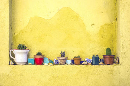 小花盆与肉质植物和五颜六色的马赛克片断在墙壁窗口利基与黄色墨西哥风格康沃尔