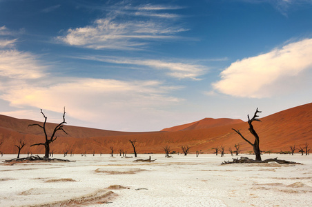 在纳米比亚 Deadvlei 的视图