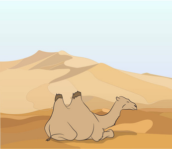 骆驼矗立在沙漠中, 矢量, 骆驼矗立在沙漠中照片