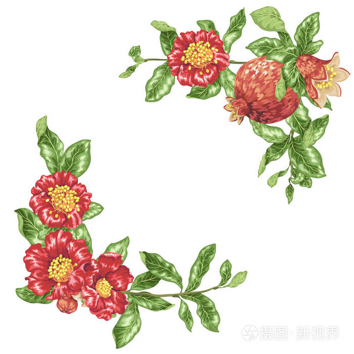 以石榴花为角度装饰元素的矢量插图模板
