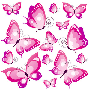 美丽的粉红蝴蝶，孤立在一张白纸