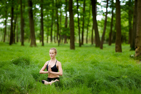 Medetation 练习瑜伽的树林