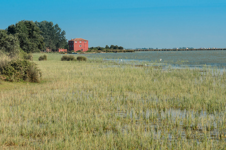 Kizilirmak 三角洲湿地