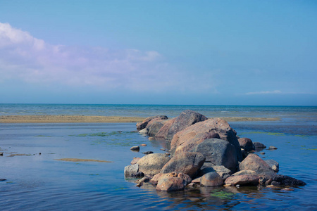 在夏天的芬兰海湾的看法。塔林海滩。在海景的背景下的水中的石头