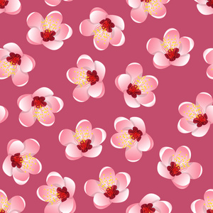 李桃桃花开花在粉红色的背景。矢量插图