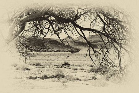 生活在一个死气沉沉的无限的南沙漠在以色列.惊人的景观和中东的性质.