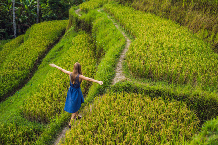 在印度尼西亚巴厘岛 Tegalalang 绿色梯级稻田种植园散步的年轻女子