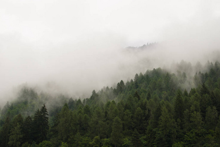 在潮湿的日子里雨后的山上的云图片