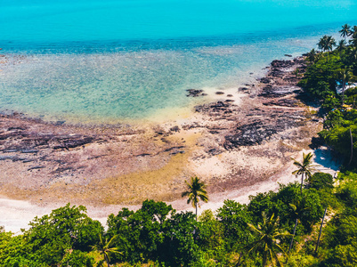 美丽的热带海滩和海的鸟瞰在海岛为旅行和假期的树