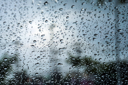 雨点在挡风玻璃上的天空树背景