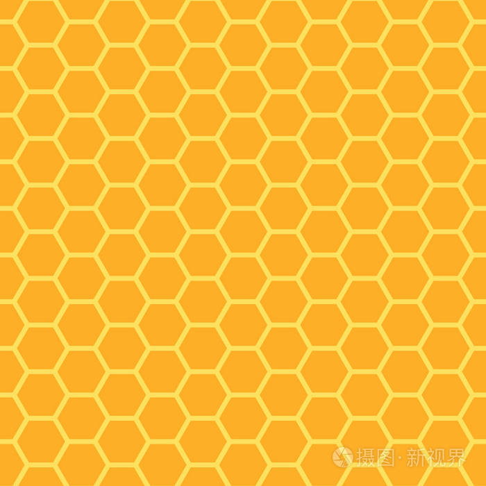 蜜蜂蜂窝纹理矢量图解