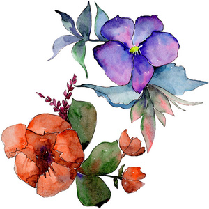 水彩五颜六色的花束花。花卉植物花。独立的插图元素。背景质地包装图案框架或边框的水彩画野花