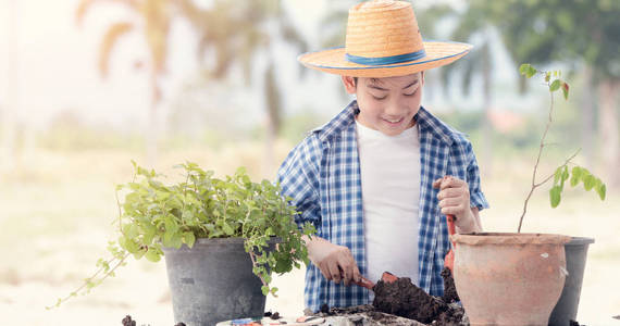 年轻的亚裔泰国男孩准备在花园里的小植物黑土壤。地球日概念