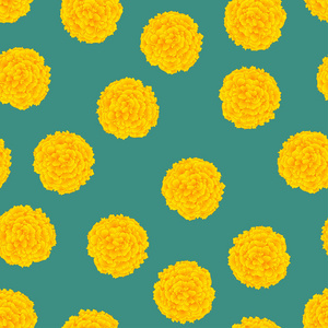 黄色的万寿菊在绿色背景。矢量插图