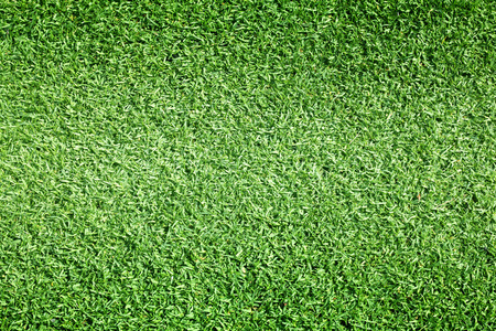 高尔夫球场绿色草坪