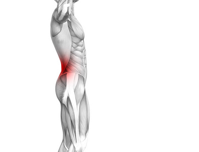 概念背部人体解剖学与红色热点炎症关节关节疼痛或脊柱保健治疗或运动肌肉的概念。3d. 图示人关节炎或骨质疏松症