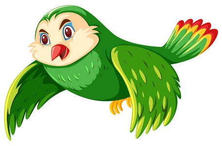 白色背景插图上的绿头鹰