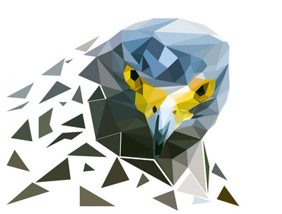 猎鹰多边形, 鸟头, 与白色背景隔绝, 低聚模效果设计, 几何和三角形形状, 矢量艺术和插图