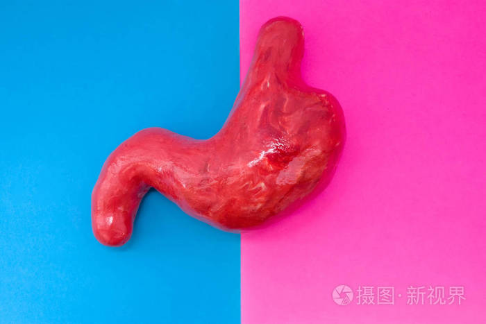 解剖形状的胃位于框架中间, 由粉红色和蓝色的背景除以一半.