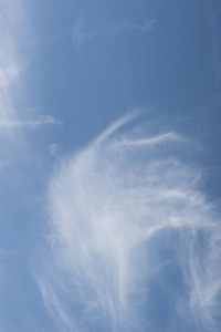 层云 floccus 云在天空中的一天