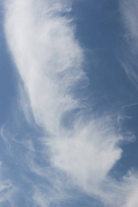 层云 floccus 云在天空中的一天