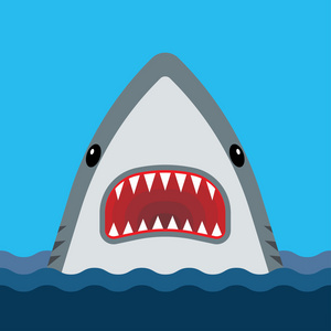 鲨鱼张开嘴和锋利的牙齿照片