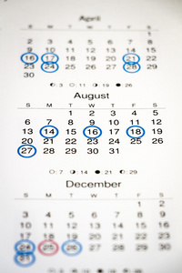 在日历中标记的日期