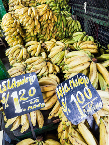 销售香蕉在市场上的迹象, 说香蕉的类型出售