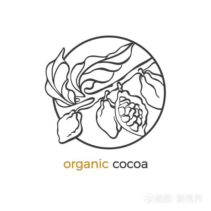 可可树的矢量贴纸, 标志有叶子, 豆类, 谷物, 水果.