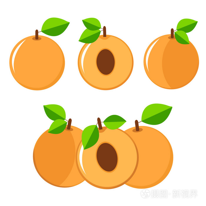 杏子套彩色-整体和一半的水果