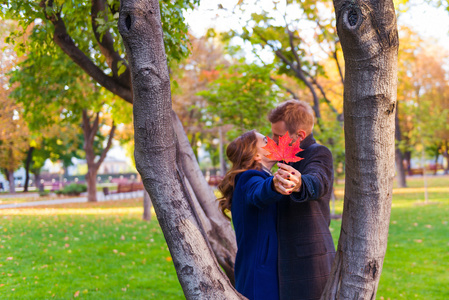 情侣接吻附近的树上