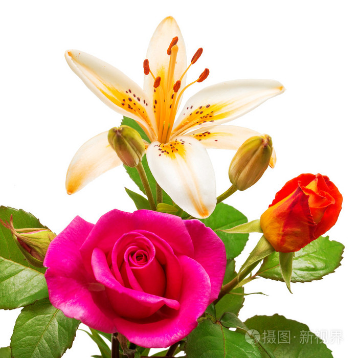 黄色百合花和粉红玫瑰的香味