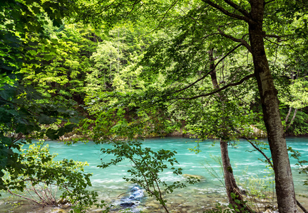银行的山区河流和森林在黑山