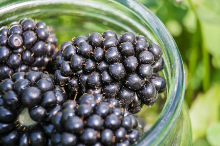 成熟的黑莓在玻璃罐子, 特写