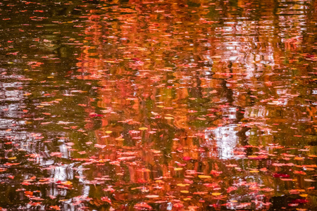 深秋的湖水的颜色图片