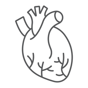 人的心脏细线图标, 解剖学和生物学, 心脏病标志, 矢量图形, 一个白色