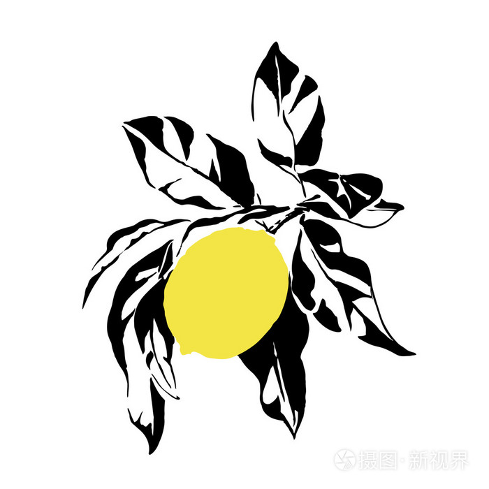 插画 手的黄色的柠檬和叶子的绘制的插图.矢量.eps
