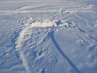 冬天纹理与雪和踪影