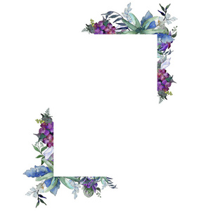 水彩蓝色和紫色的花朵。花卉植物花。独立的插图元素。背景质地包装图案框架或边框的水彩画野花
