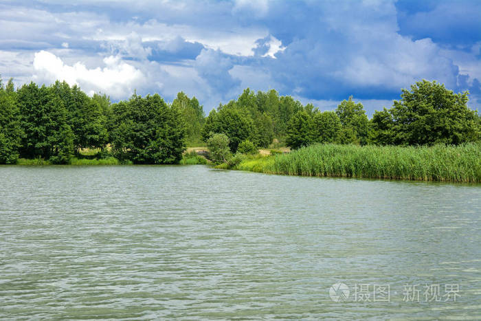 一幅美丽的风景, 从河的中央, 围绕着树木和芦苇在岸边和遥远的地平线