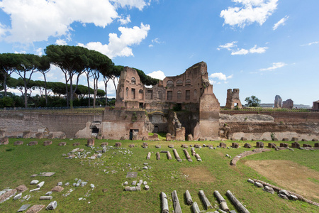在罗马的著名的罗马废墟