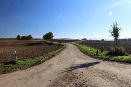农业环境中的道路一分为二图片