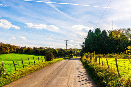 英国乡村路在一个晴朗的日子, 郁郁葱葱的绿色植被, 狭窄的道路