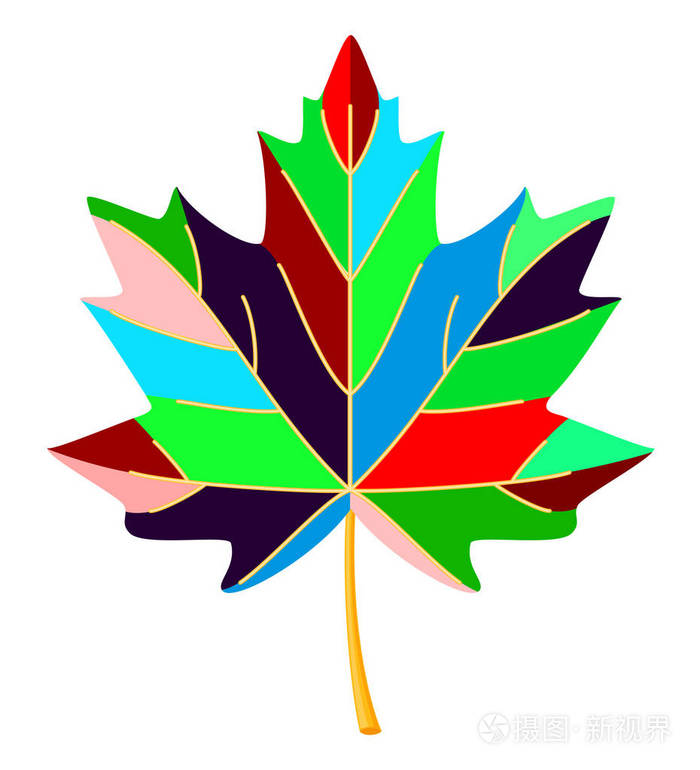 彩色卡通彩色枫叶