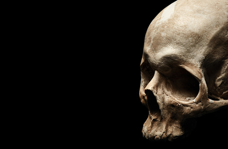 可怕的人类头骨图片