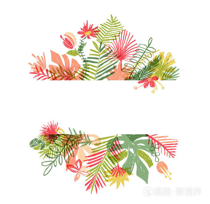 手绘热带花卉, 植物框架