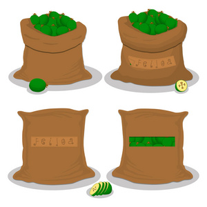 矢量图标插图标志为装满水果绿色美埝的袋子, 存放在麻袋里.